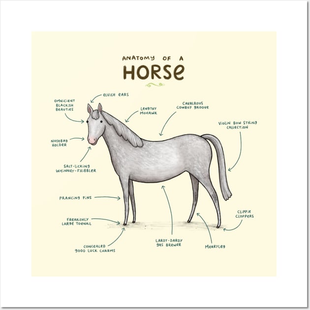 Anatomy of a Horse Wall Art by Sophie Corrigan